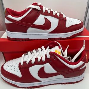 Brand new Nike air dunks low